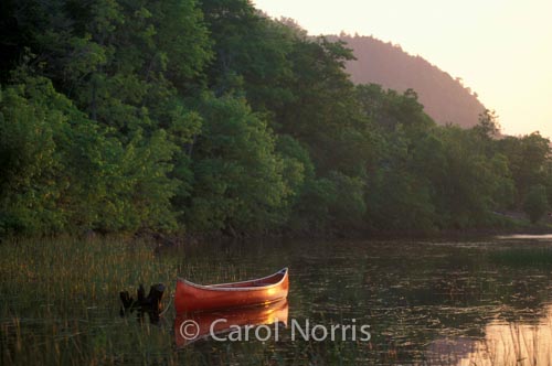 Canoe Waiting for You