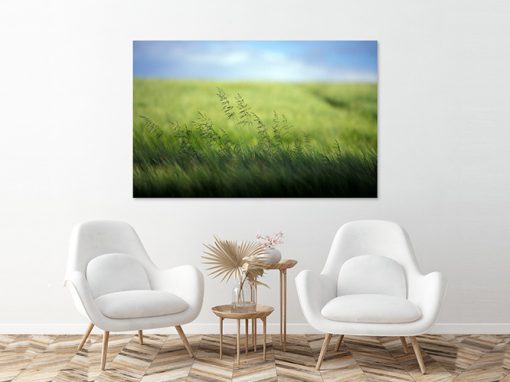 Summer Breeze