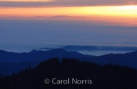 America-California-fog-Sequoia-National-Park-sunset.jpg