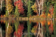 Canadian-fall-colours-Ontario-reflection.jpg